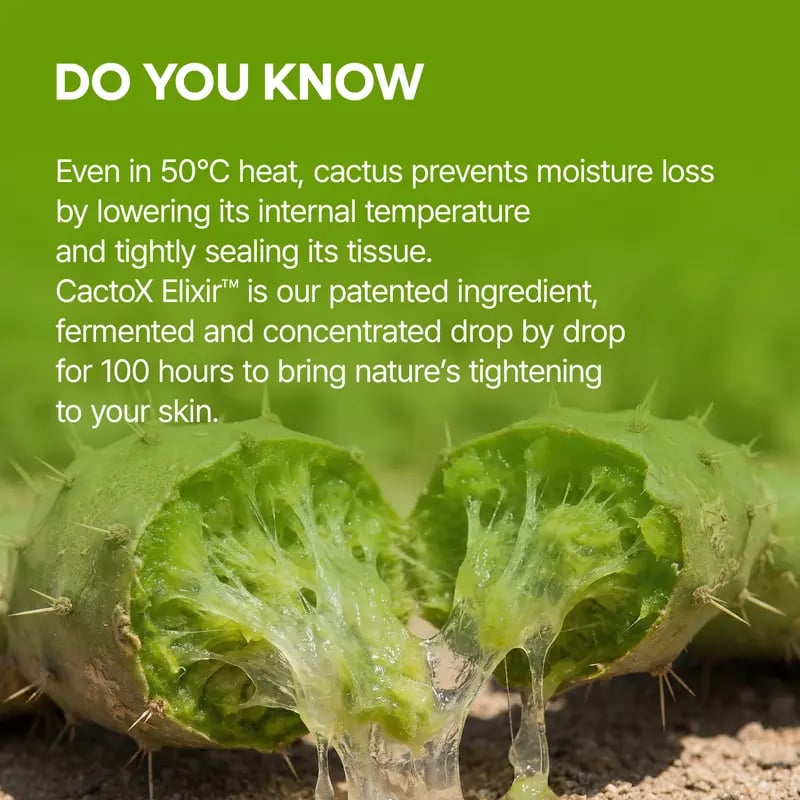 Luhaka® 🌿V-Lifting Mewing Band – Cactus Cooling. Reduces Puffiness & Tightens Pores