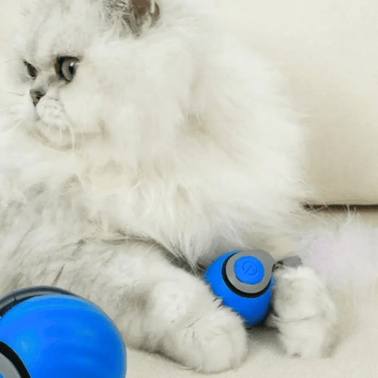Luhaka® 🔥Interactive Electric Rolling Ball with Teasing Tail
