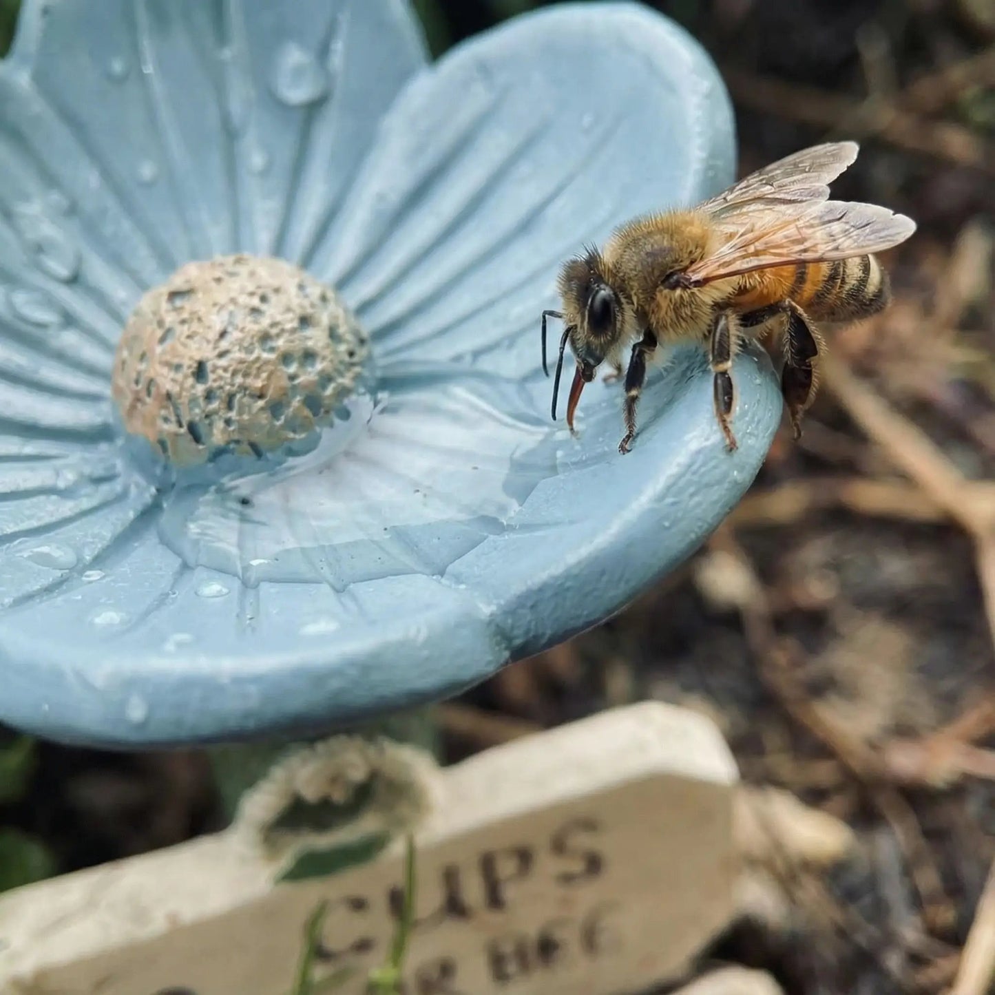 Luhaka® 🐝LAST DAY 49% OFF - Flower-Shaped Bee Watering Station💧