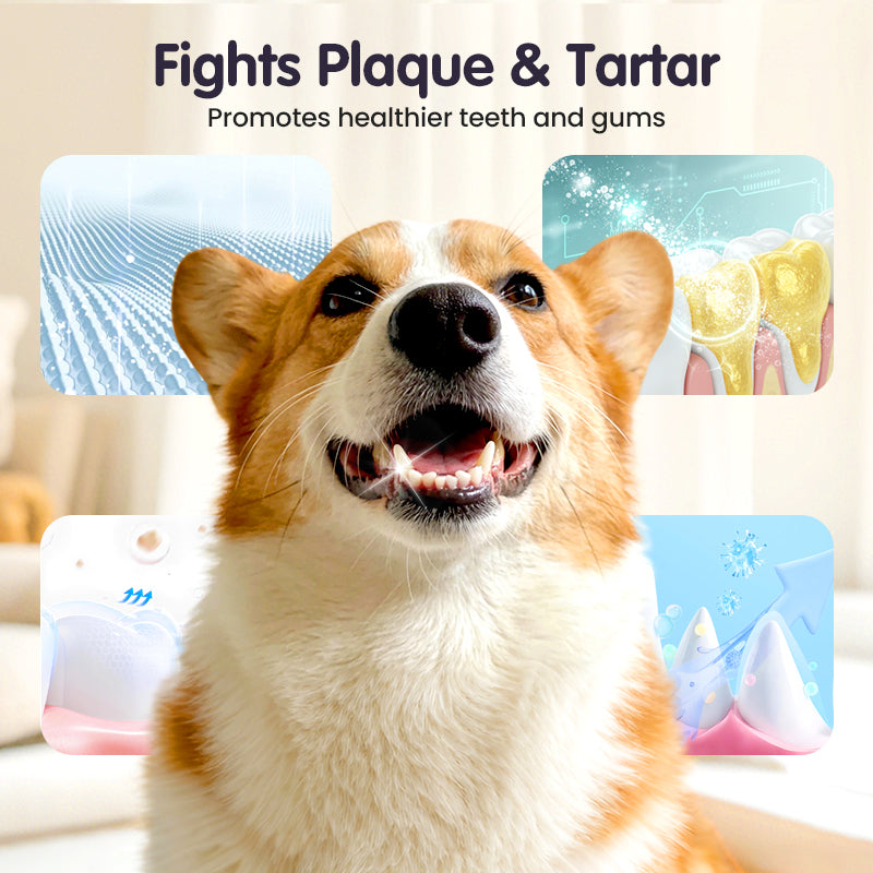 Luhaka®  🔥2026 New Arrivals: 50% Off for a Limited Time!🔥Teeth Cleaning Spray for Pets